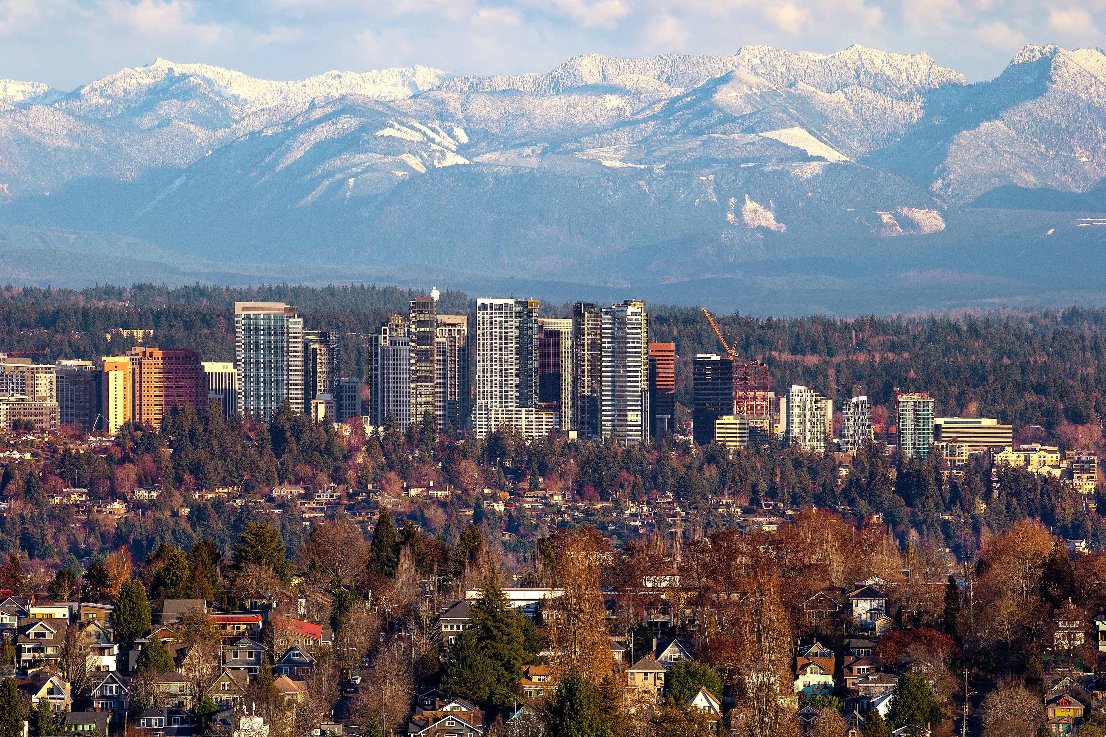 View from the property: trees in the foreground, the Seattle skyline mid-frame, and the snow-capped Olympic Mountains in the distance.